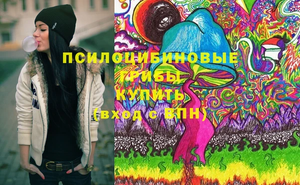 эйфоретик Белокуриха